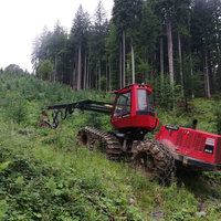 Holzernte in schwierigem Gelände von Holzernte Fuchs