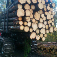Holzhandel von Holzernte Fuchs