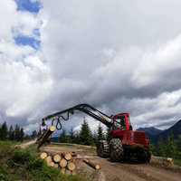 Holzbringung von Holzernte Fuchs