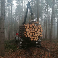 qualitatives Holz von Holzernte Fuchs