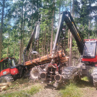 Abtransport von Holz von Holzernte Fuchs