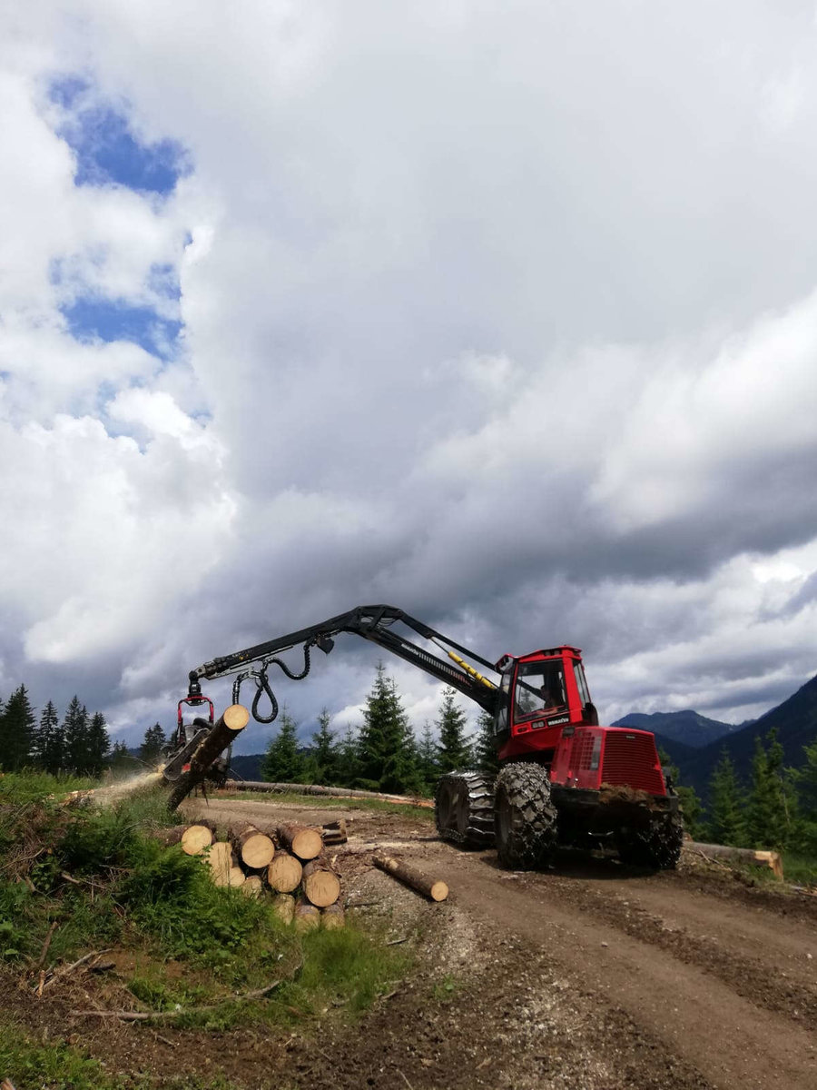 Holzbringung von Holzernte Fuchs