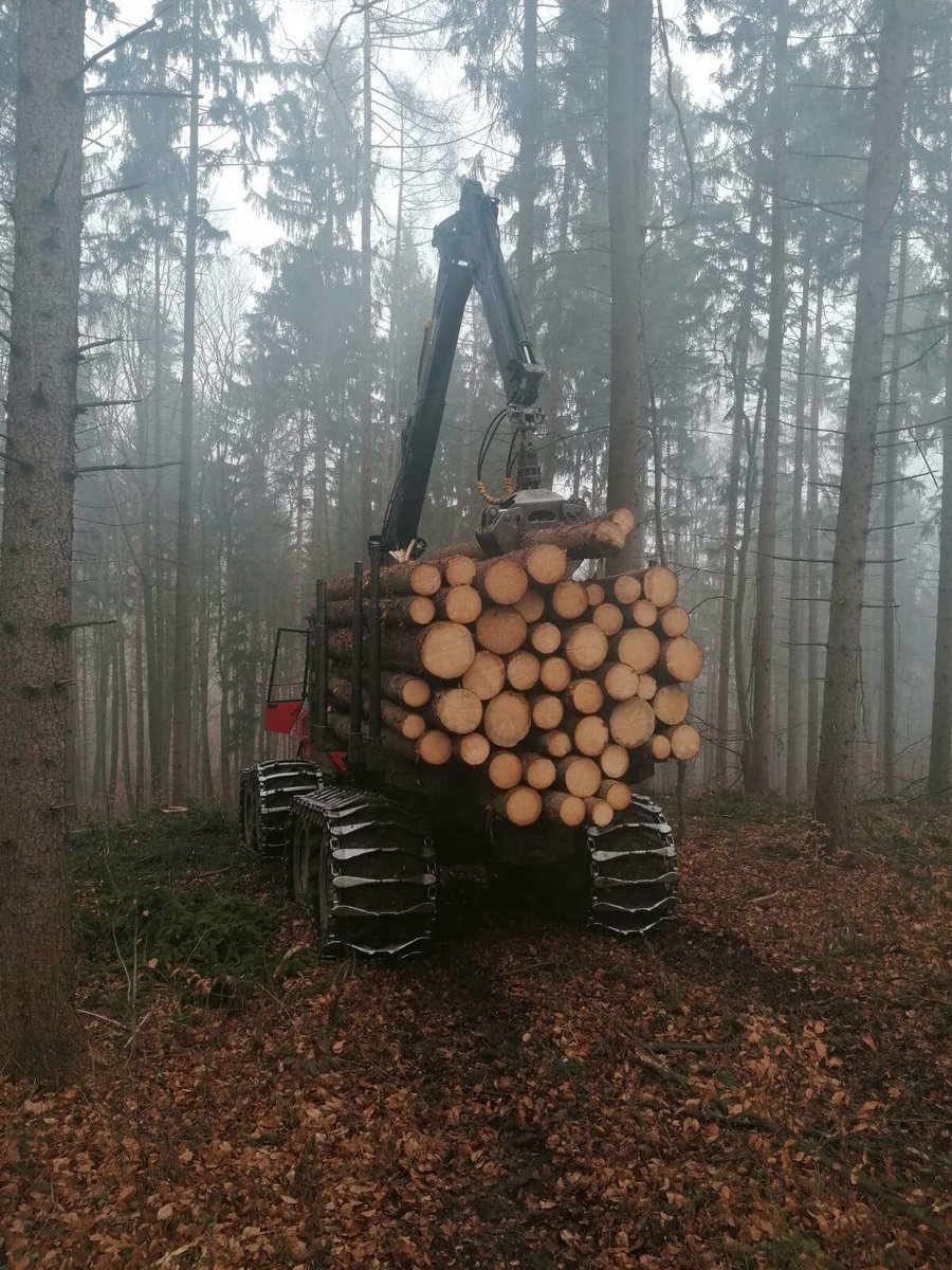 qualitatives Holz von Holzernte Fuchs