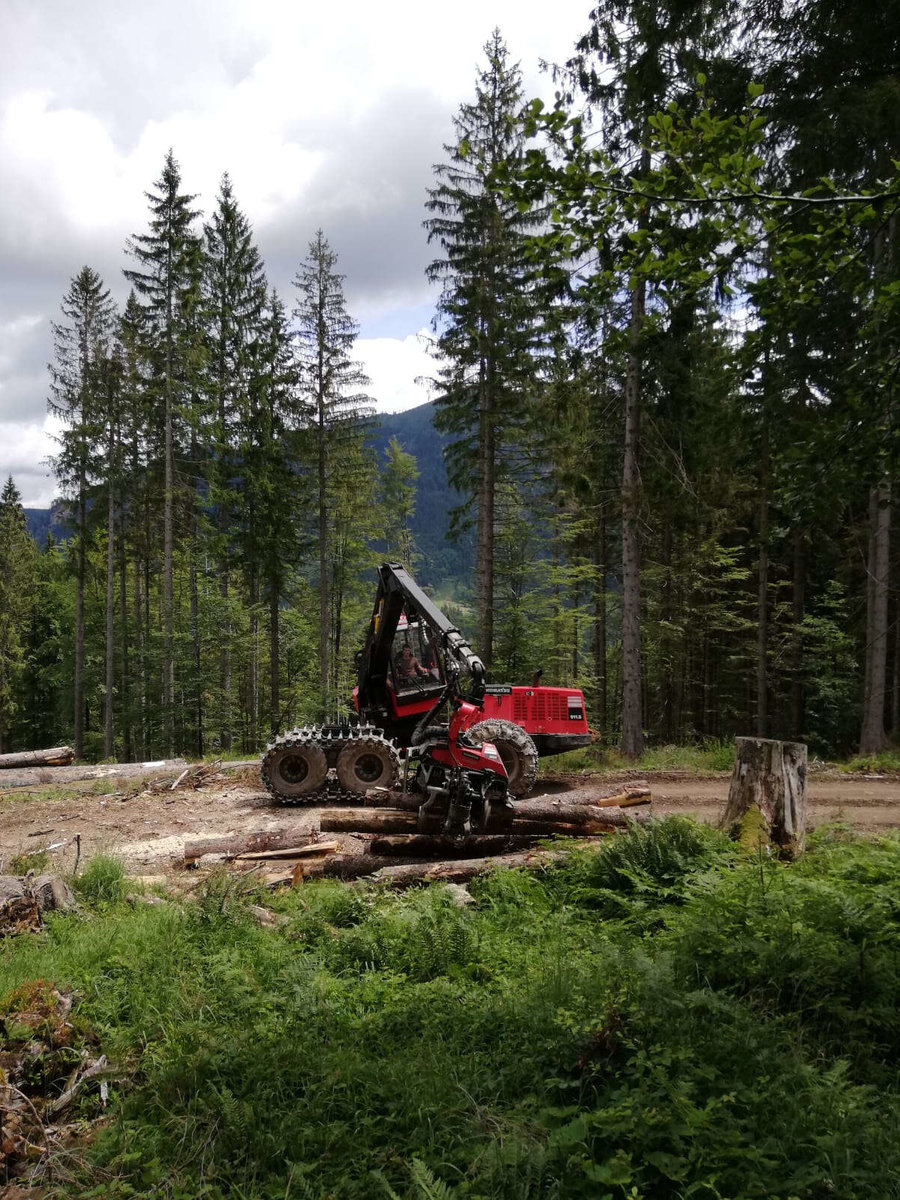 Holzbringungen von Holzernte Fuchs