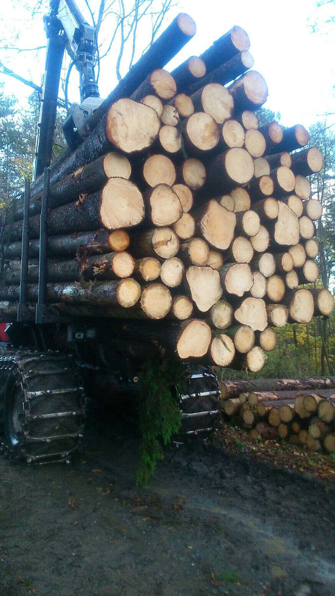Holzhandel von Holzernte Fuchs