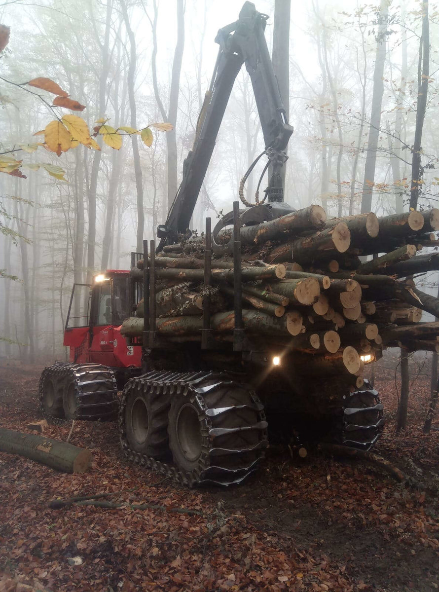 Holzschlägerung von Holzernte Fuchs