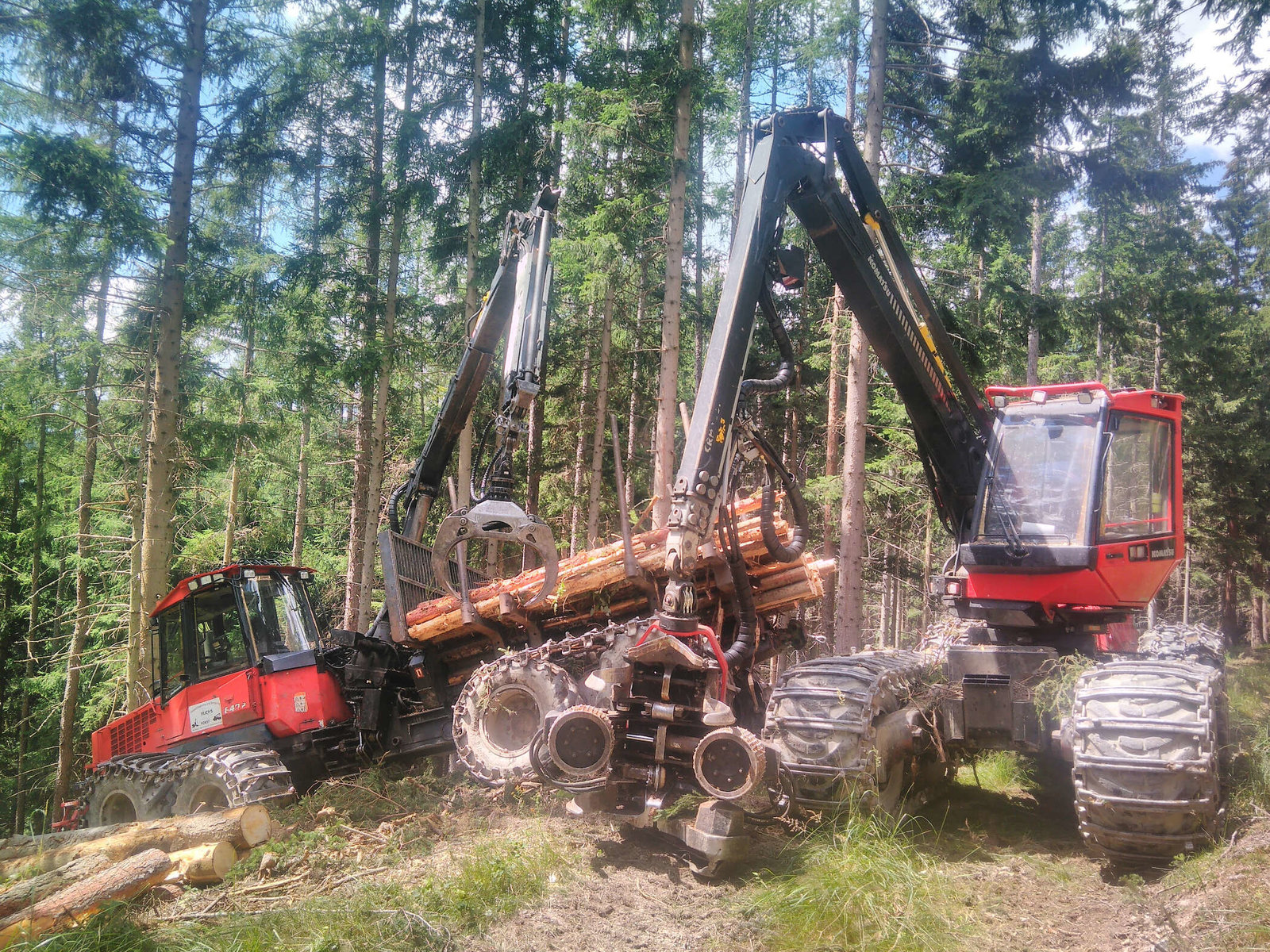 Abtransport von Holz von Holzernte Fuchs