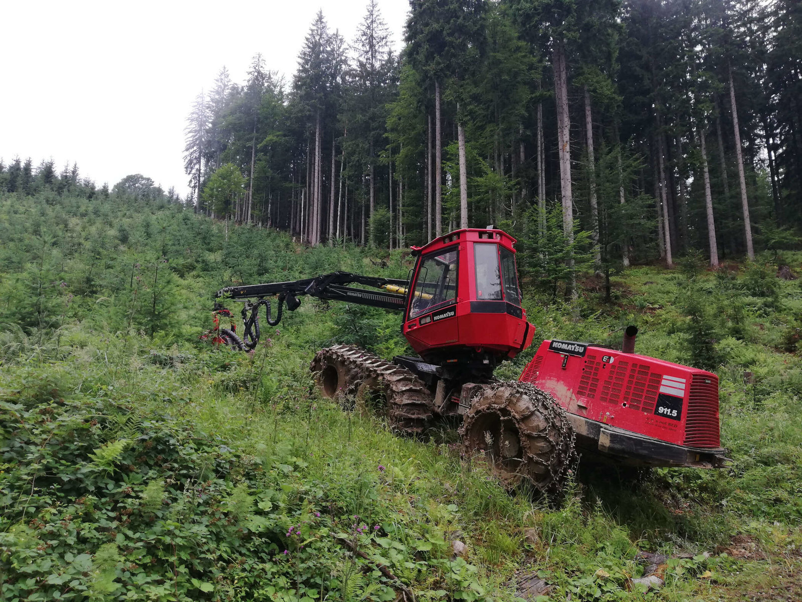 Holzernte in schwierigem Gelände von Holzernte Fuchs